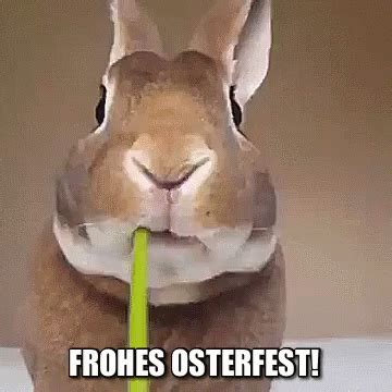 frohe ostern gif lustig